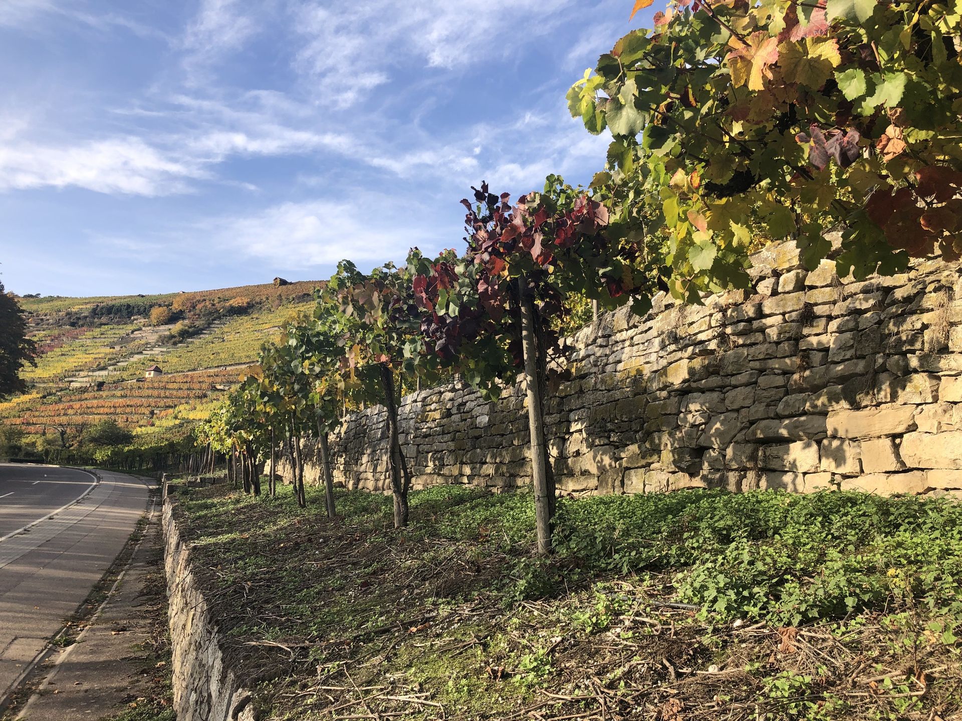 Weinberge und Umgebung